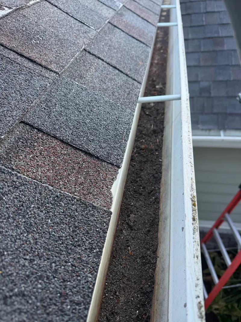 Professional gutter cleaning on a Texas home